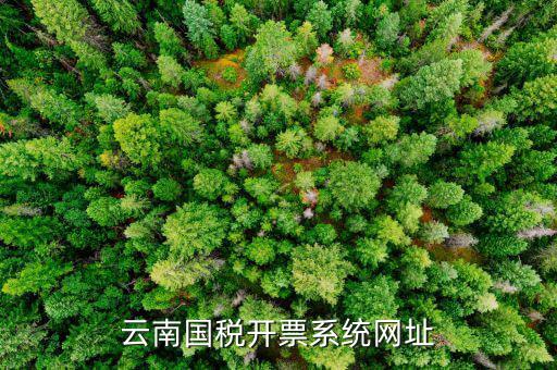 云南國(guó)稅開(kāi)票系統(tǒng)網(wǎng)址