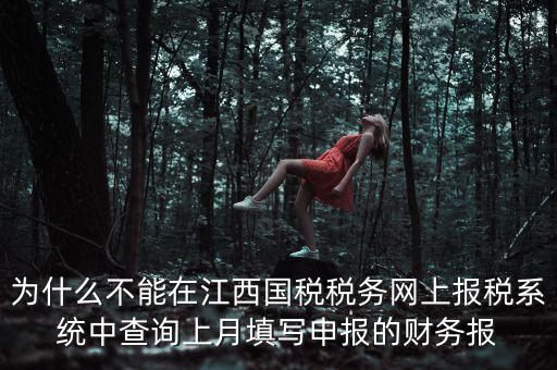 為什么不能在江西國(guó)稅稅務(wù)網(wǎng)上報(bào)稅系統(tǒng)中查詢(xún)上月填寫(xiě)申報(bào)的財(cái)務(wù)報(bào)