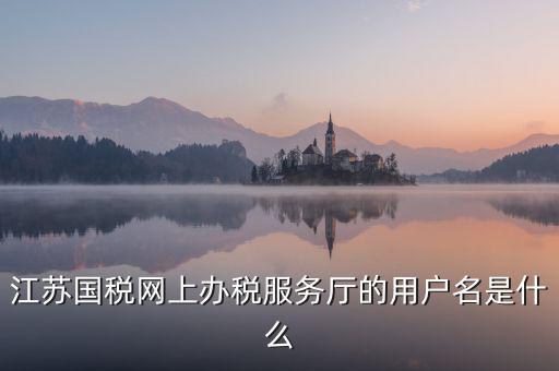 網(wǎng)上辦稅平臺帳號是什么，地稅網(wǎng)上申報用什么帳號