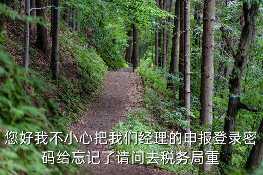 您好我不小心把我們經(jīng)理的申報登錄密碼給忘記了請問去稅務(wù)局重