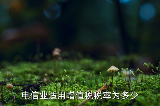 電信服務(wù)什么時(shí)候繳納增值稅，電信業(yè)適用增值稅稅率為多少