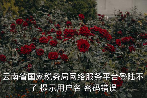 云南稅控服務(wù)平臺(tái)的網(wǎng)址是什么，云南國稅開票系統(tǒng)網(wǎng)址