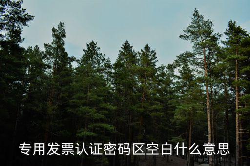 河南發(fā)票密碼是什么意思，專用發(fā)票認(rèn)證密碼區(qū)空白什么意思