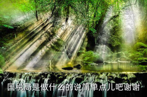 什么是國際稅務(wù)局，國際稅務(wù)是什么
