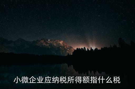 小微企業(yè)繳納什么稅，小型微利企業(yè)有什么稅要交