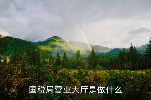 國(guó)稅局大廳工作是什么，國(guó)稅大廳咨詢?nèi)藛T具體是做什么工作的
