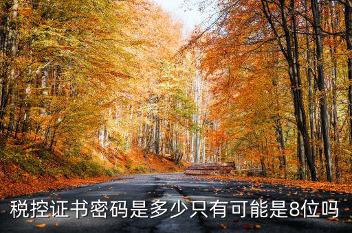 稅控證書(shū)密碼是多少只有可能是8位嗎