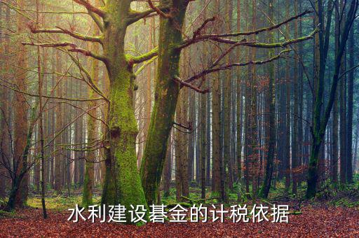 西安水利基金的計(jì)稅依據(jù)是什么，水利建設(shè)碁金的計(jì)稅依據(jù)