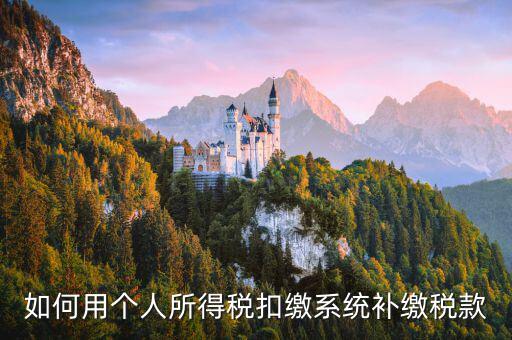 個人所得稅用什么系統(tǒng)，個人所得稅代扣代繳系統(tǒng) 支持Windows7 嗎