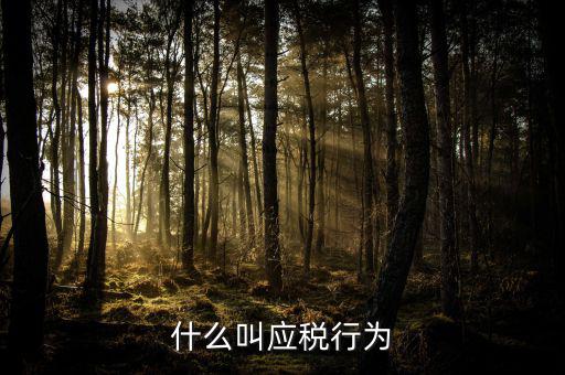 什么為應(yīng)稅污染，什么是污染