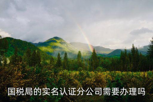四川國稅局實名認證需要什么手續(xù)，在國稅局辦理法人實名制認證要帶什么材料