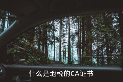 什么叫地稅CA用戶，什么是CA用戶