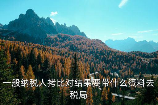 去稅務(wù)拷初始化文件帶什么東西，一般納稅人拷比對結(jié)果要帶什么資料去稅局