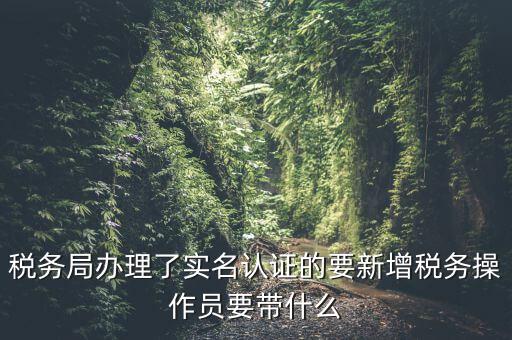 稅務(wù)局辦理了實(shí)名認(rèn)證的要新增稅務(wù)操作員要帶什么