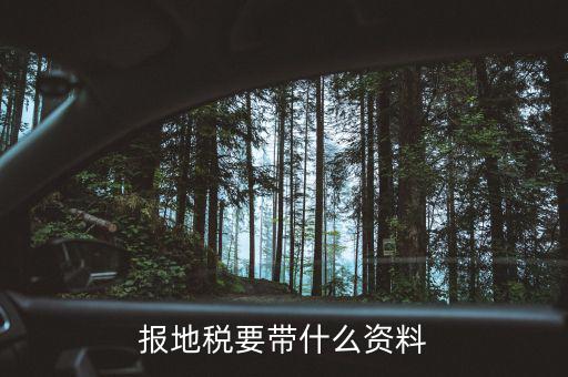 地稅需要準(zhǔn)備什么資料，申請(qǐng)地稅發(fā)票需要什么資料