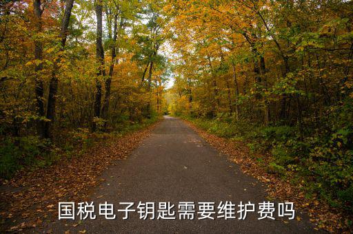 辦稅鑰匙是什么意思，網(wǎng)上報(bào)稅請(qǐng)插入電子令牌是什么意思
