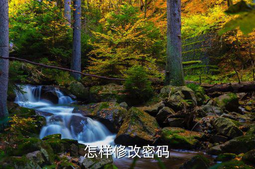 怎樣改國稅密碼是什么，山東省國家稅務(wù)局網(wǎng)上辦稅平臺納稅人的密碼怎么改
