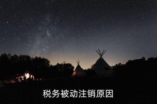 稅務(wù)被動(dòng)注銷(xiāo)原因