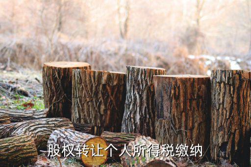 股權(quán)轉(zhuǎn)讓如何繳納個(gè)稅，個(gè)人股權(quán)轉(zhuǎn)讓如何納稅