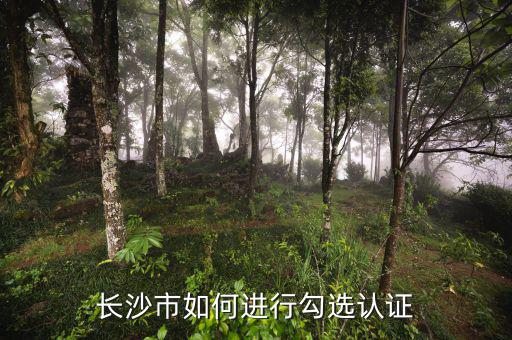 如何進(jìn)行網(wǎng)上勾選，對(duì)方開出增值稅專用發(fā)票多長(zhǎng)時(shí)間可以進(jìn)行網(wǎng)上勾選認(rèn)證
