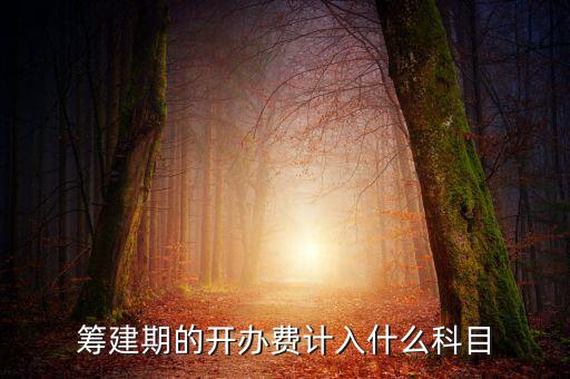公司籌建期的費用計入什么科目，籌建期的開辦費計入什么科目