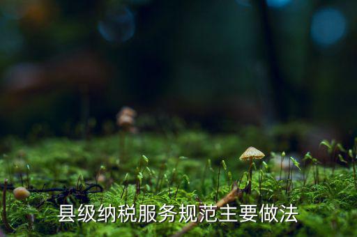 如何納稅的便民措施，如何提高納稅人滿意度 中國稅務報