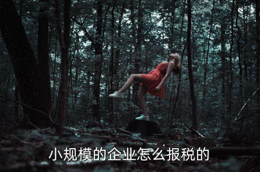 小規(guī)模納稅人如何申報(bào)，小規(guī)模增值稅申報(bào)流程
