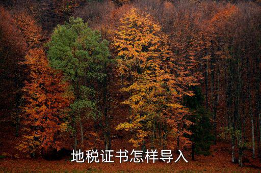 如何安裝深圳地稅證書(shū)，地稅證書(shū)怎樣導(dǎo)入