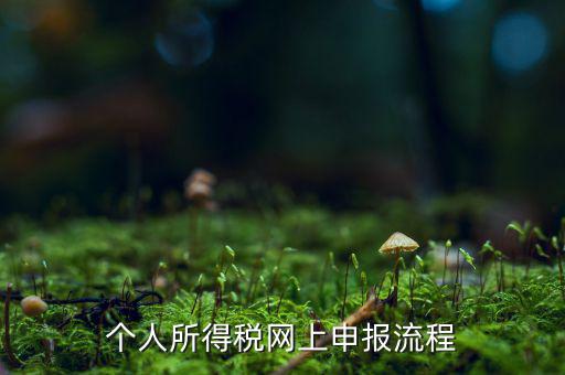 如何網(wǎng)上申請(qǐng)個(gè)稅，個(gè)人所得稅網(wǎng)上申報(bào)流程