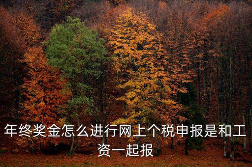 年終獎個稅如何申報，年終獎怎樣申報個稅