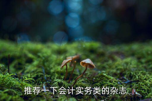 納稅這個(gè)期刊如何，推薦一下會(huì)計(jì)實(shí)務(wù)類的雜志