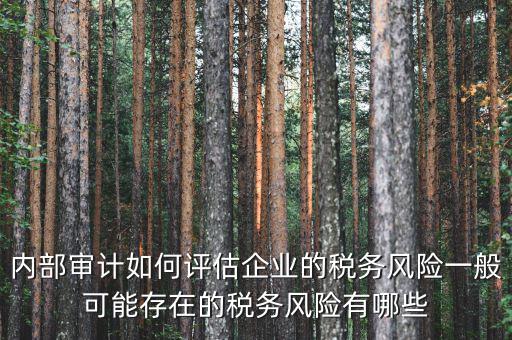內(nèi)部審計如何評估企業(yè)的稅務(wù)風(fēng)險一般可能存在的稅務(wù)風(fēng)險有哪些