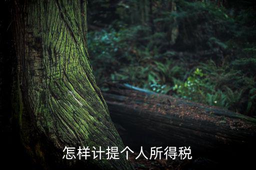 個人所得稅如何計提，如何計提個人所得稅