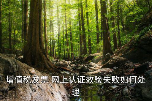 驗(yàn)簽失敗的發(fā)票如何處理，發(fā)票驗(yàn)舊錯(cuò)誤 怎么辦