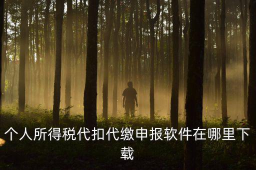 代扣代繳國(guó)稅如何申報(bào)系統(tǒng)下載，國(guó)稅增值稅小規(guī)模稅務(wù)電子申報(bào)軟件在哪里下載呢