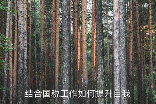國稅工作總結(jié)如何出彩，2015年國稅貨勞科工作總結(jié)
