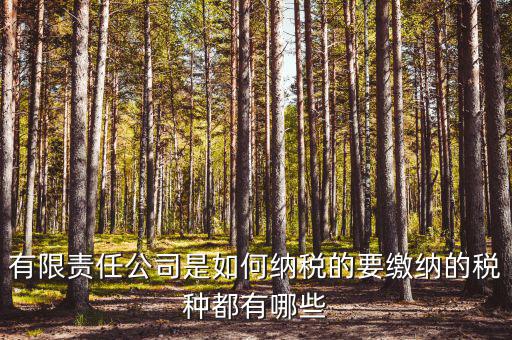 有限責(zé)任公司是如何納稅的要繳納的稅種都有哪些