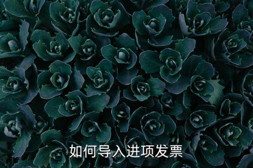 如何導(dǎo)入發(fā)票，如何導(dǎo)入進(jìn)項(xiàng)發(fā)票