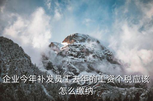 補(bǔ)發(fā)一年工資如何算稅，補(bǔ)發(fā)員工以前年度工資如何繳納個(gè)稅