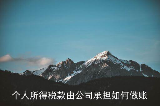 個稅公司承擔(dān) 如何報銷，個人所得稅款由公司承擔(dān)如何做賬