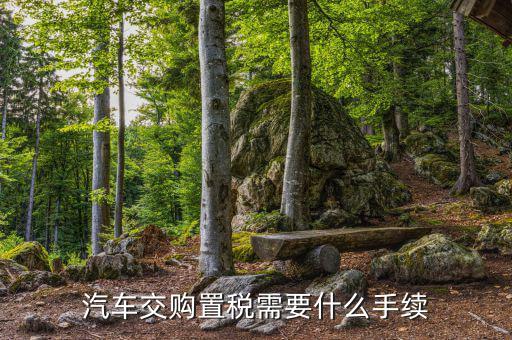 車(chē)輛購(gòu)置稅如何辦理，購(gòu)買(mǎi)車(chē)輛購(gòu)置稅需要哪些手續(xù)