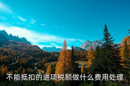 進(jìn)項(xiàng)稅不讓抵扣后如何處理，不能抵扣的進(jìn)項(xiàng)稅額做什么費(fèi)用處理