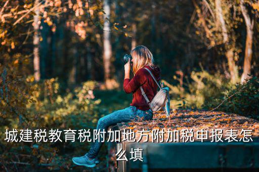 新城建稅附加表如何填，網(wǎng)上申報(bào)城建稅教育附加稅怎么填