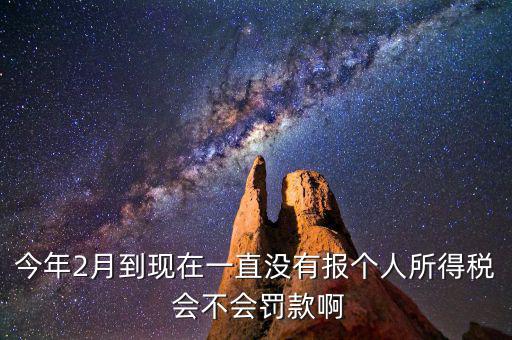 個(gè)稅申報(bào)不報(bào)會(huì)如何，個(gè)人所得稅自行申報(bào)不去做有什么危害