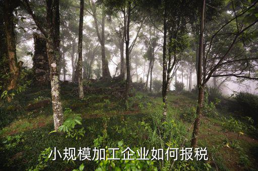 小規(guī)模企業(yè)如何報稅，小規(guī)模的企業(yè)怎么報稅的