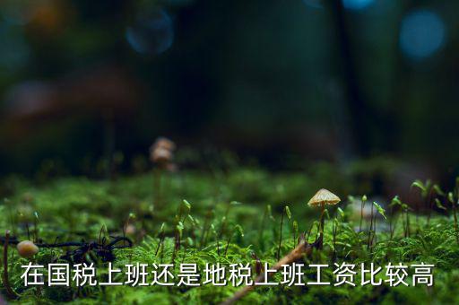 地稅局發(fā)展如何，我要考天津稅務(wù)局想問市區(qū)各地稅局和濱海地稅一分局哪個好呢