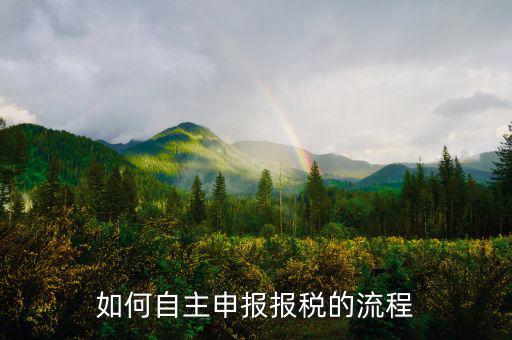 如何進(jìn)行稅務(wù)申報(bào)，個(gè)體戶如何申報(bào)稅