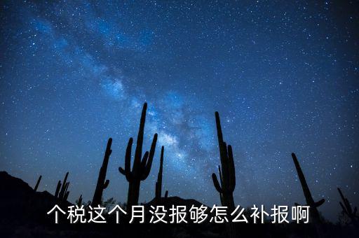 如何補(bǔ)報(bào)個(gè)人所得稅，個(gè)人所得稅報(bào)錯(cuò)了怎么補(bǔ)報(bào)