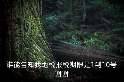 地稅的報(bào)稅期是什么時(shí)候，地稅中的年度財(cái)務(wù)報(bào)表申報(bào)期限是什么時(shí)候