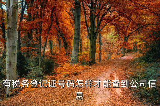 如何查詢公司稅務信息，怎么用稅證號碼查詢企業(yè)信息